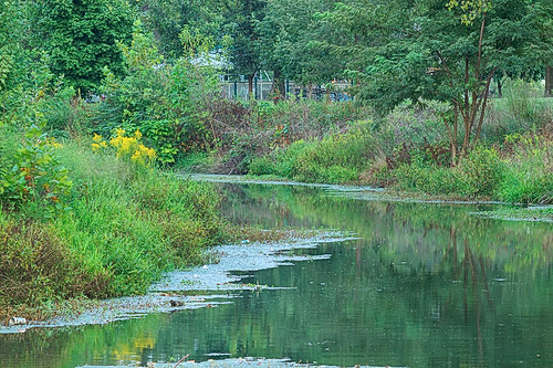 River 6, in Forest Park, Saint Louis, Missouri, USA