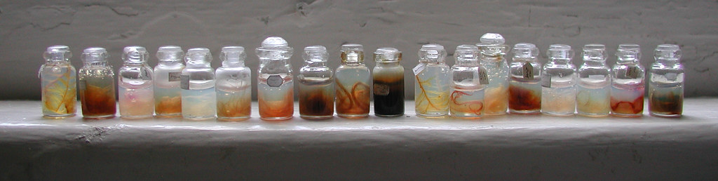  set of specimens in jars, some to keep for Stephen's dispensary (though 