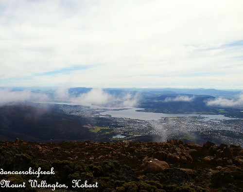 Mt Wellington: City View from above