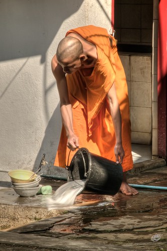 Busy Monk