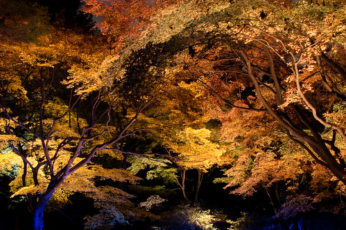 Rokugien Autumn Lightup-6