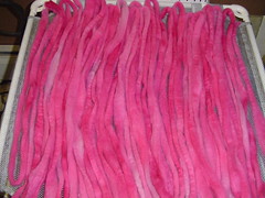 Dark Pink Peonies on the dryer shelf