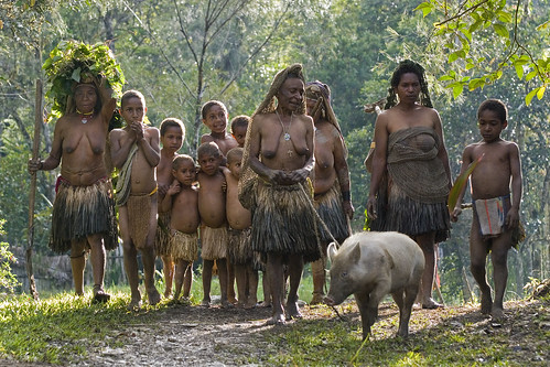 Tribe at Mount Hagen, PNG, doing traditional agriculture