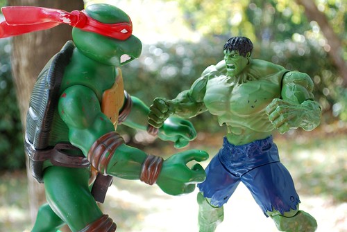 Ninja Turtle and Hulk