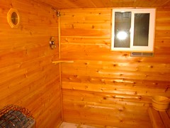 Shower IN the sauna!