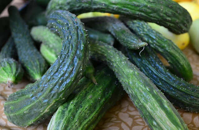 Wrinkly Cukes