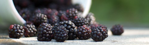 Local Blackberries