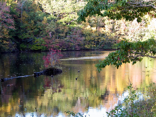 Autumn pond 2
