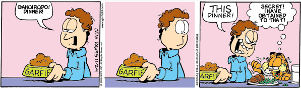 Garfield: Lost in Translation, November 24, 2009