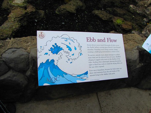 ebb and flow