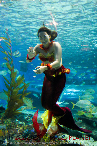 Little Mermaid · Manila Ocean Park. Show machine tags (0) Hide machine tags 