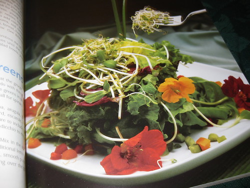 Edible Wild Greens with Sprouts