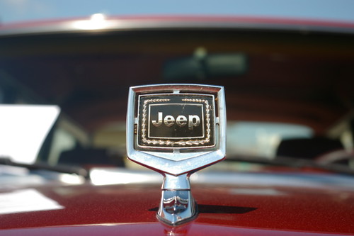 Jeep hood ornament #4