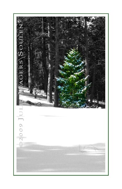 green pine tree Christmas card