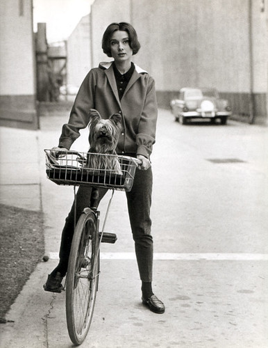 Audrey Hepburn, cycle and dog chic, 1957