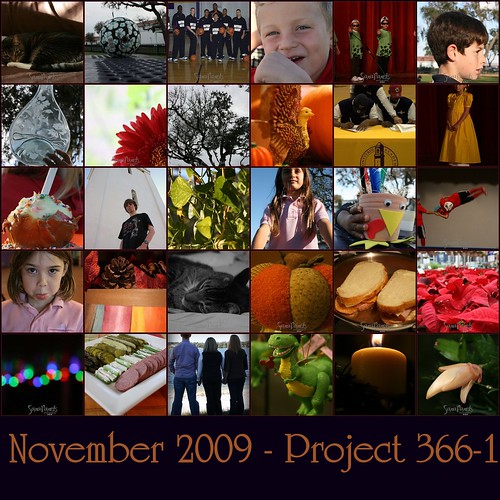 November Project 3661 Mosaic