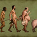 A Evolução do Homem