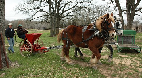 Todnechia Mitchell, NRCS district conservationist in Milam County, works the reins to control the only horsepower used to plow and cultivate fields on Sand Creek Farm in Cameron, Texas. Ben Godfrey, farm owner and organic producer, walks behind Mitchell, guiding the draft horses that are pulling a potato planter.