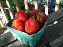 Delicious Local Strawberries