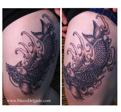 We filmed the process and should have the video up soon Dragon Koi
