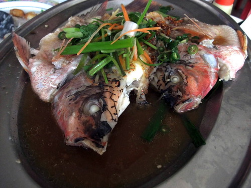 Steam Fei Chao Fish