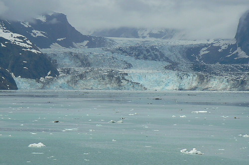 Glacier in Glacier Bay