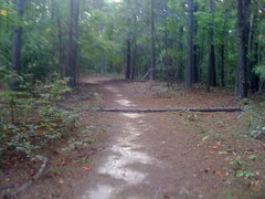  Wide Trail