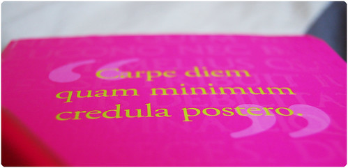 Carpe Diem Diary (Copyright Hanna Andersson)