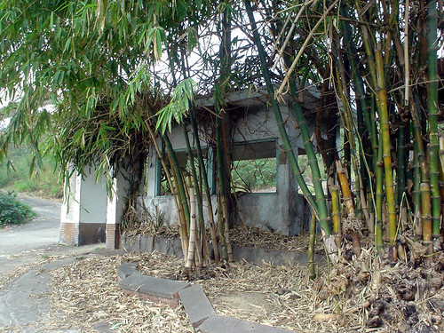 14.廢棄的君營與竹林