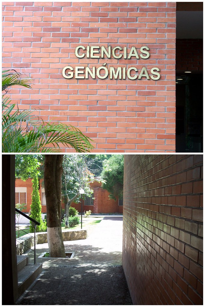 1-UNAM-Centro de Ciencias Genomics
