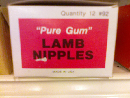WTF products: lamb nipples