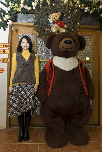 韓國 泰迪熊博物館