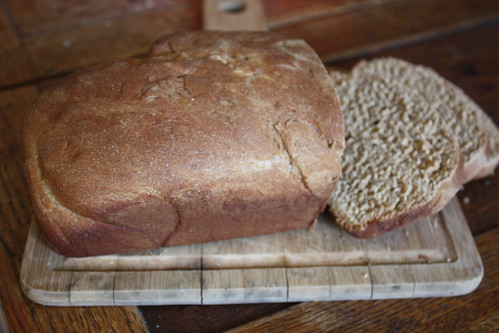 Molasses Whole Wheat Bread1