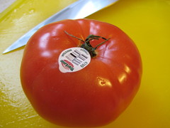 BeefSteak Tomato #4799