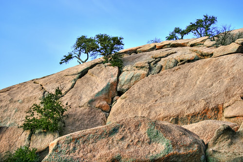 Enchanted Rock with Trees Growing from Cracks by Greg Carley.