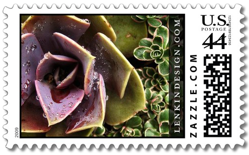 Succulents stamp