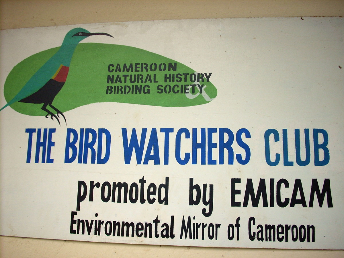 The_Birdwatcher's_Club_is_a_favorite_destination