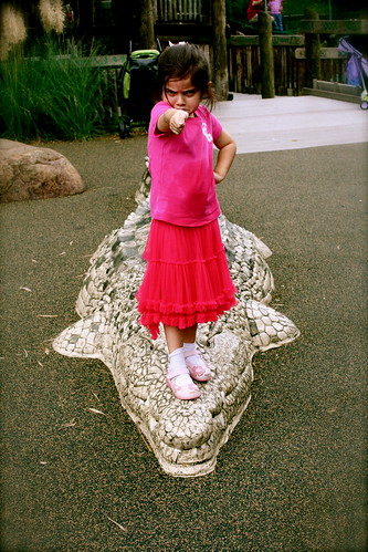 The Proper Expression When Standing on an Alligator's Snout