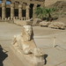 Temple of Karnak, sphinx in the First Court by Prof. Mortel