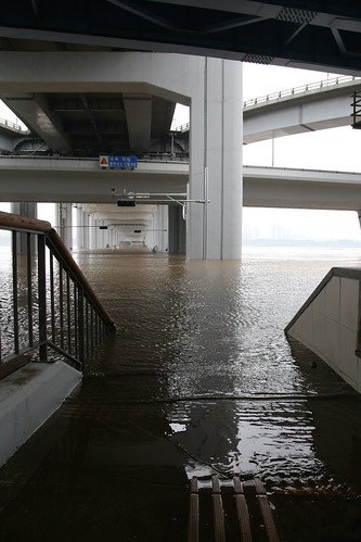 The Flooding of Banpo Bridge