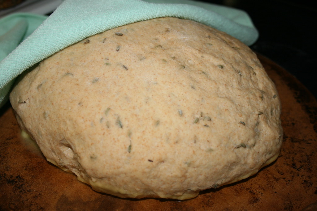 Risen Fennel Dough