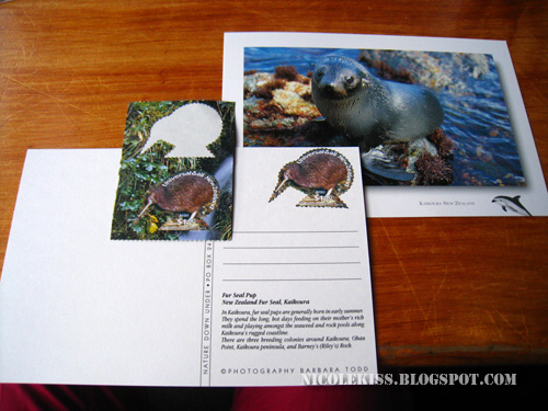 kaikoura postcards