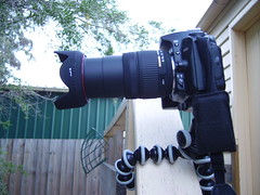 Nikon D90 + Gorilla Pod SLR Zoom