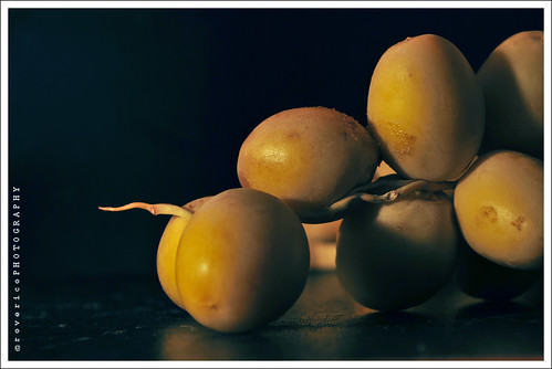 black dates fruit. Dates fruit