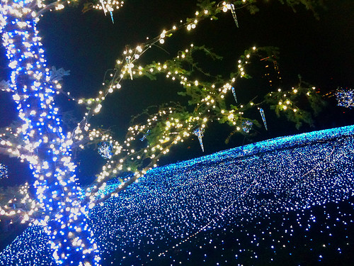Tokyo Midtown '09 winter illumination 04