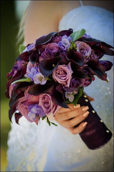 flowers for eggplant champagne color scheme wedding 3812347591 C1d8cd8223 
