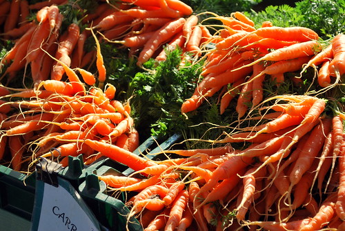 Sunlit Carrots