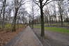 Bike Path Through Tiergarten