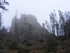Needles in Custer State Park