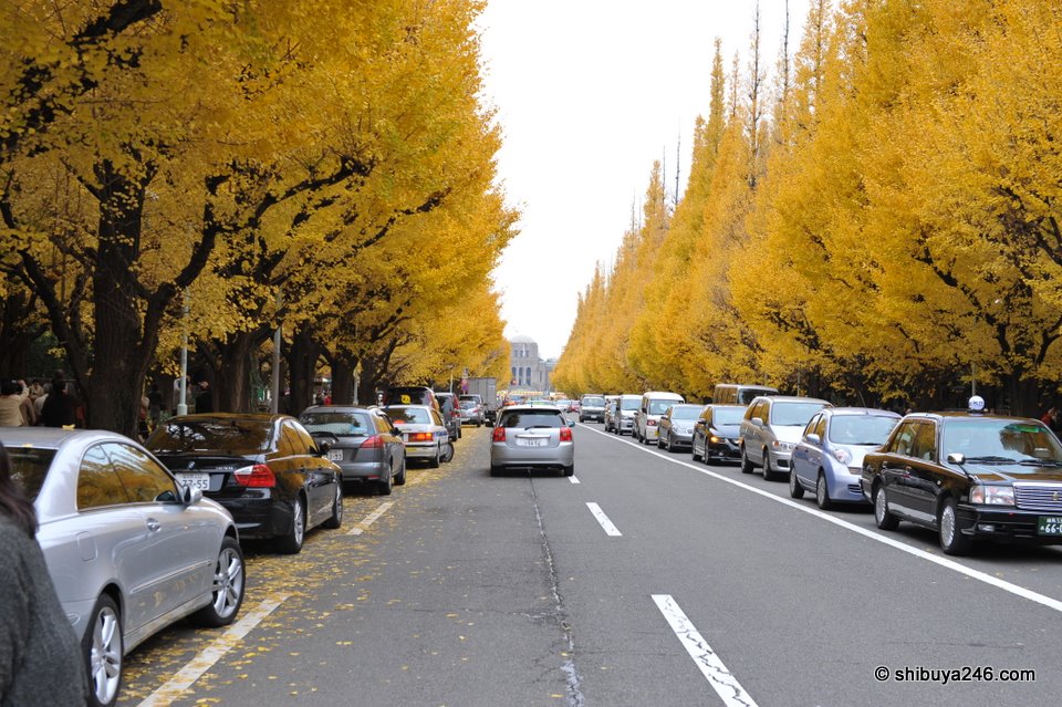 The Ginkgo Tree Avenue heading down to the Meiji Memorial Picture Gallery.